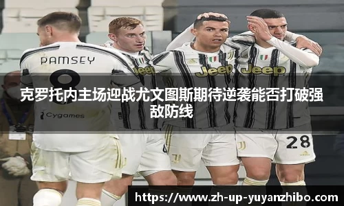 雨燕体育直播官方网站