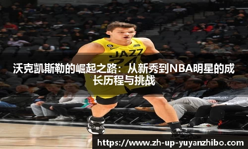 雨燕体育直播官方网站