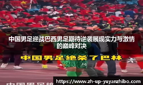 雨燕体育直播平台