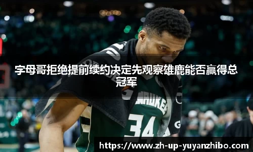 雨燕体育直播平台