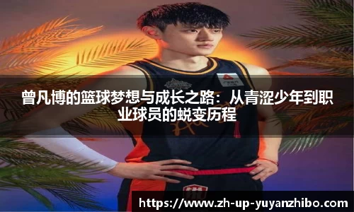 雨燕体育直播APP
