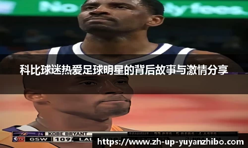 雨燕体育直播平台