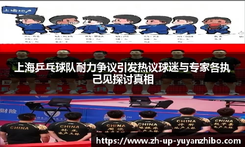 雨燕体育直播官方网站