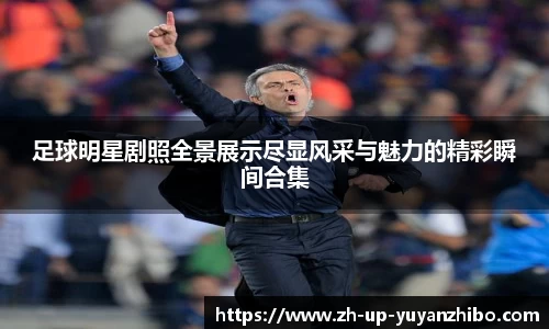 雨燕体育直播官方网站