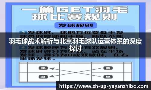 雨燕体育直播平台