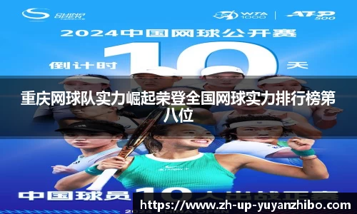 雨燕体育直播APP