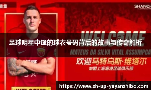 雨燕体育直播平台