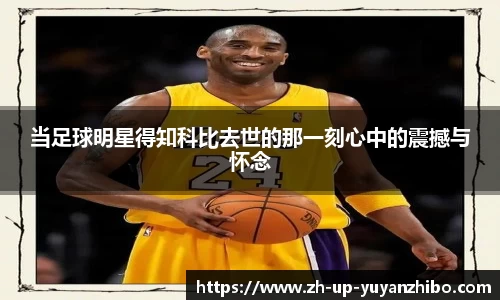 雨燕体育直播APP