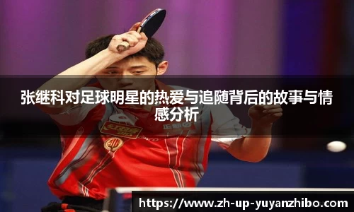 雨燕体育直播APP