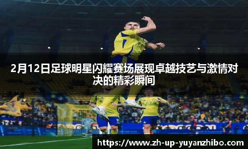 雨燕体育直播平台