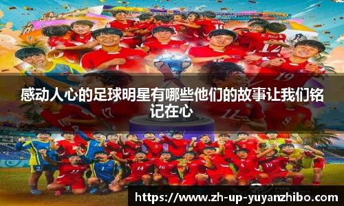 雨燕体育直播官方网站