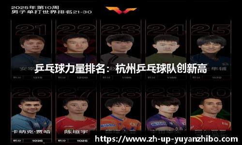 雨燕体育直播官方网站